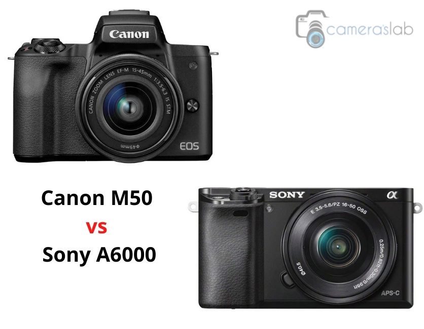 Canon M50 vs Sony A6000 – Know Why Canon M50 Is the Best?