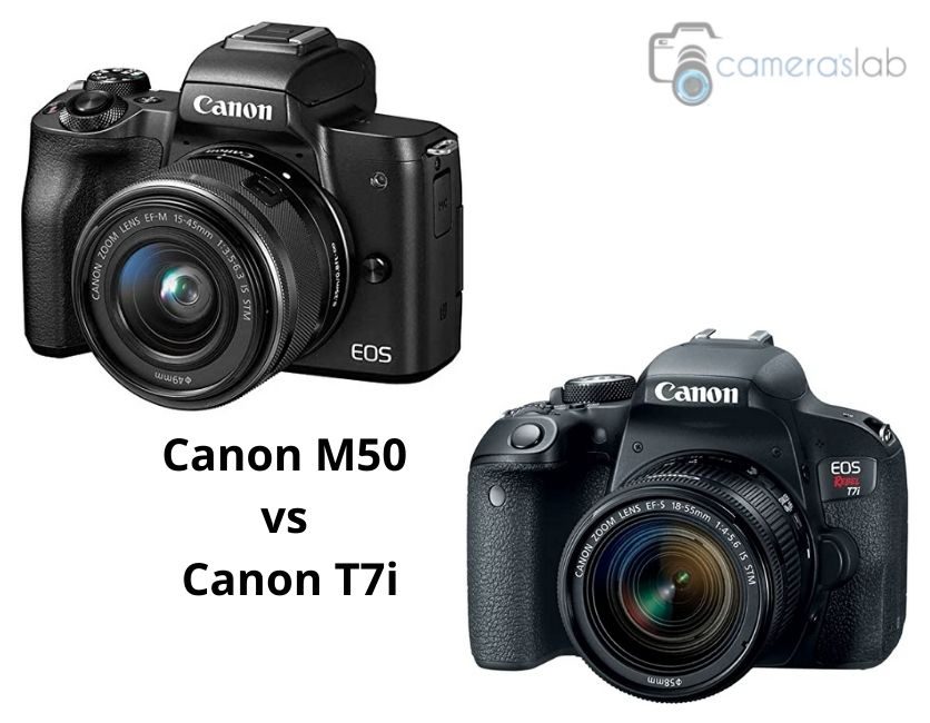 Canon M50 vs T7i – Know the Differences and Get the Best One! 