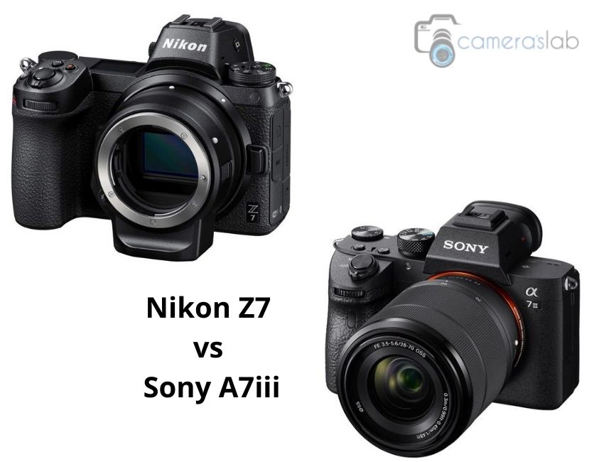 Nikon Z7 vs Sony A7iii