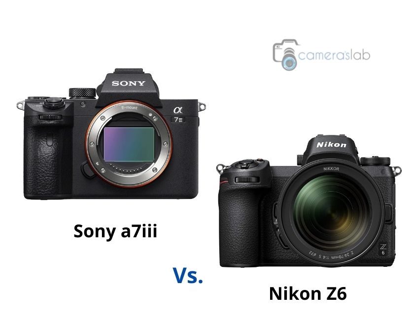 Nikon Z6 vs Sony a7III – Check Why Sony a7III is Best!