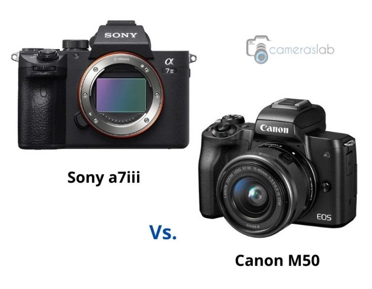 Canon M50 vs Sony A6400 Check and Grab the Best Camera!