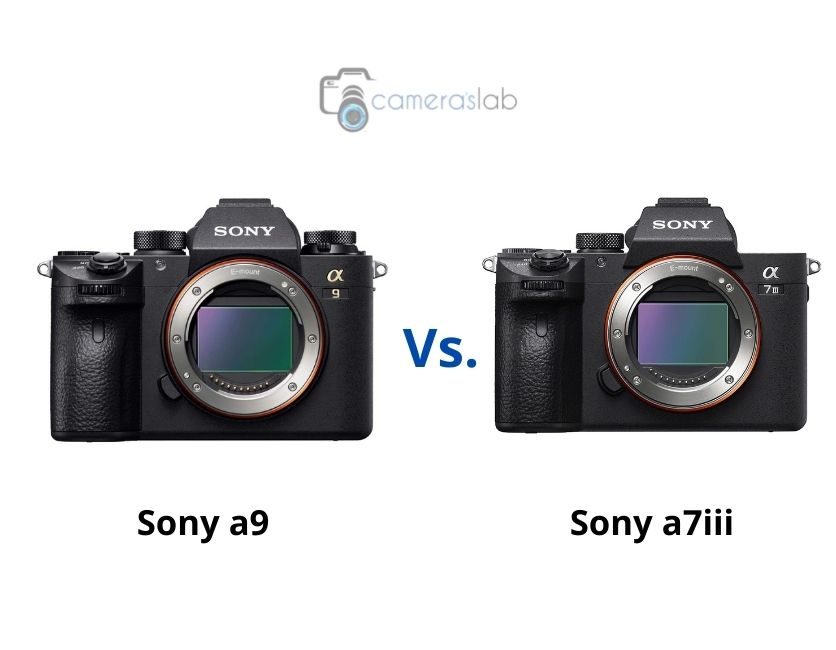 Sony a9 vs a7iii – Learn Why You Should Grab Sony a9!