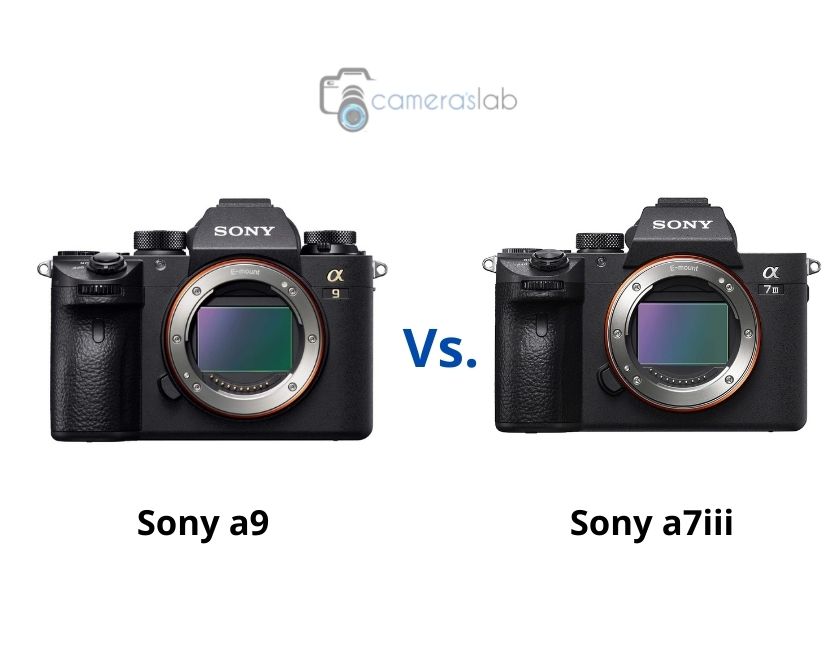 Sony a9 vs a7iii