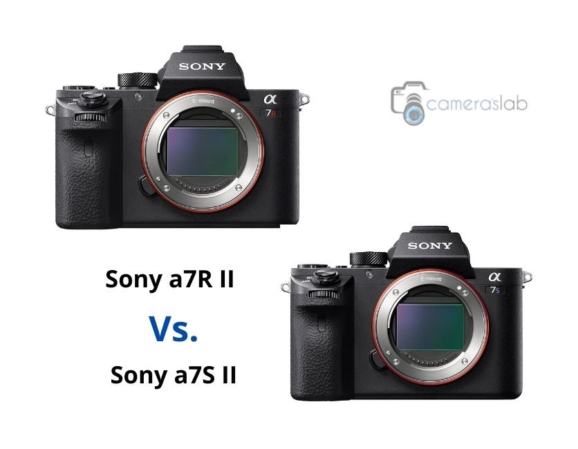 Sony a7SII vs a7RII – Learn Why Sony a7RII is Best!