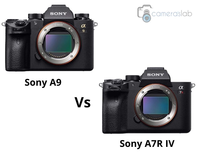 Sony a9 vs a7riv