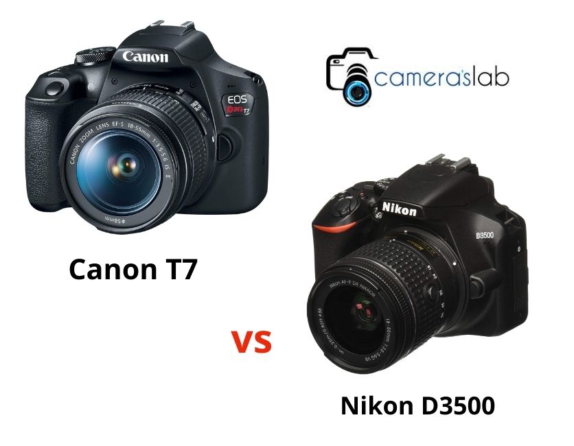 Nikon d3500 vs Canon t7