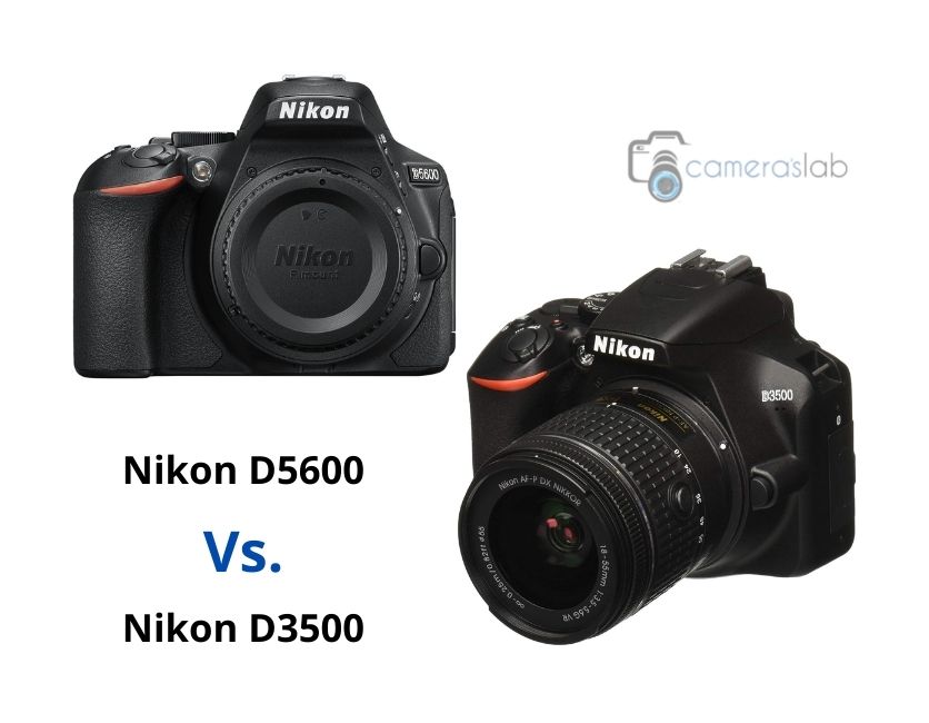 Nikon D3500 vs D5600