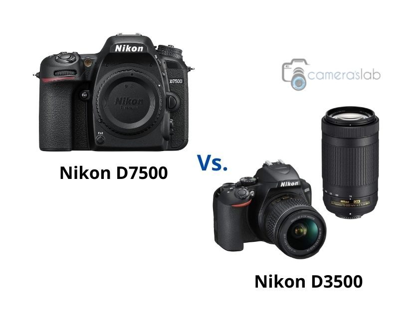 Nikon D3500 vs D7500 – Check Why We Recommend Nikon D7500!