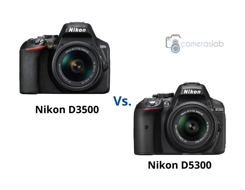 Nikon D5300 vs D3500 – Why You Should Pick Nikon D3500?