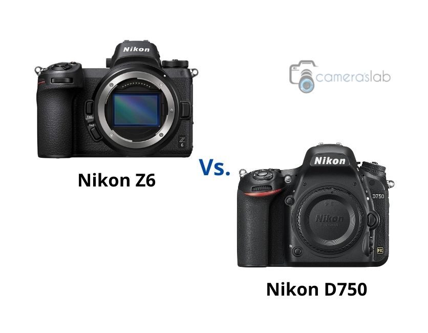 Nikon Z6 vs D750 – The Ultimate Guide To Pick Best Camera!