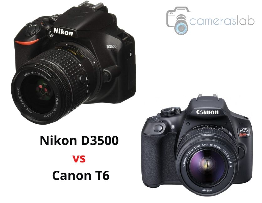 Nikon D3500 vs Canon T6 – Which Is a Better Choice & Why?