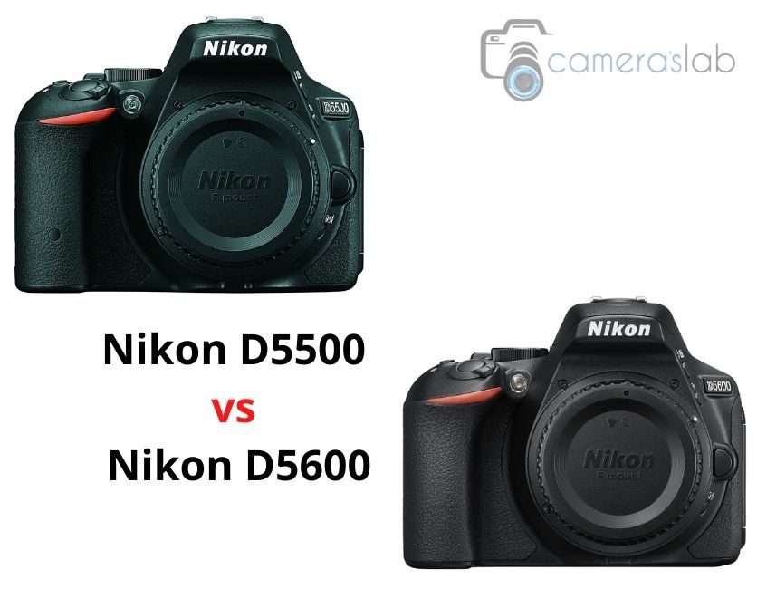 Nikon D5500 vs D5600 – Know the Differences & Get the Best One!