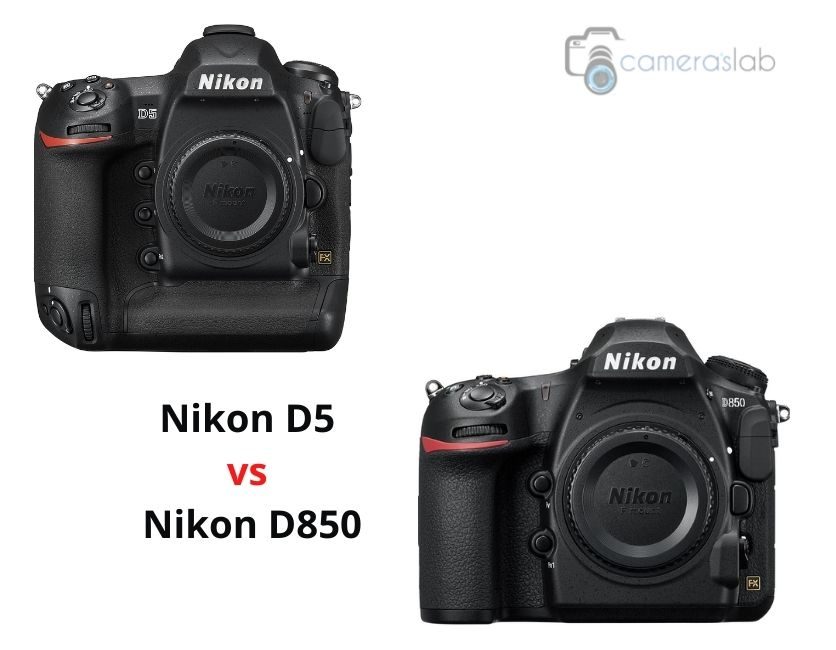 Nikon D5 vs D850 – Grab the Best Professional DSLR For You!