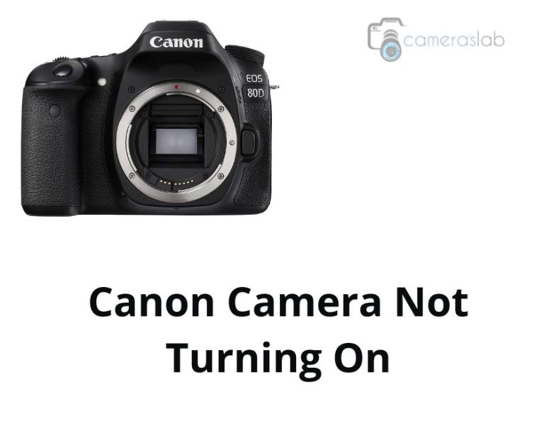 Canon Camera Not Turning On