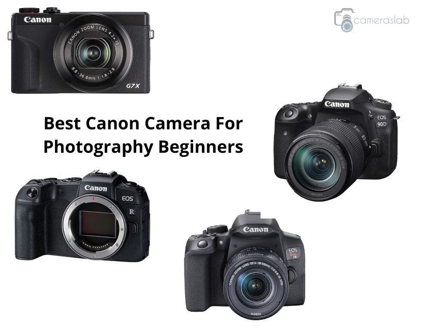 Best Canon Camera For Photography Beginners