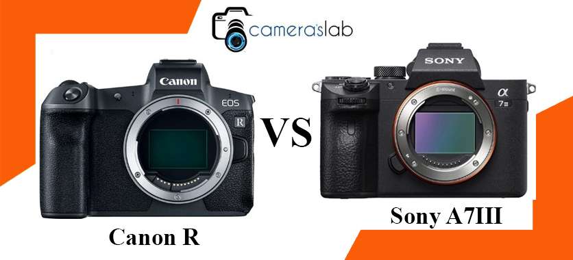 Canon R vs Sony A7III