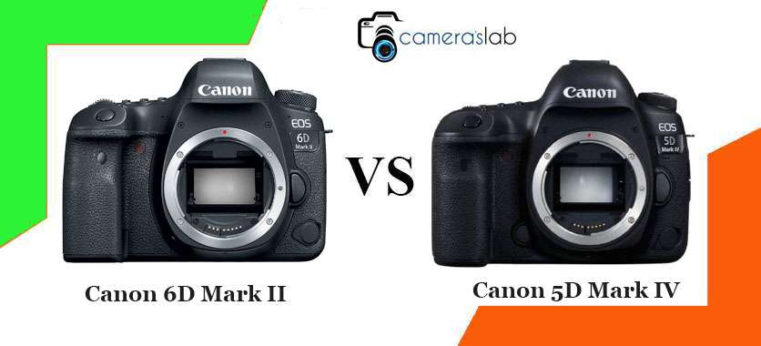 Canon 6D Mark II vs 5D Mark IV