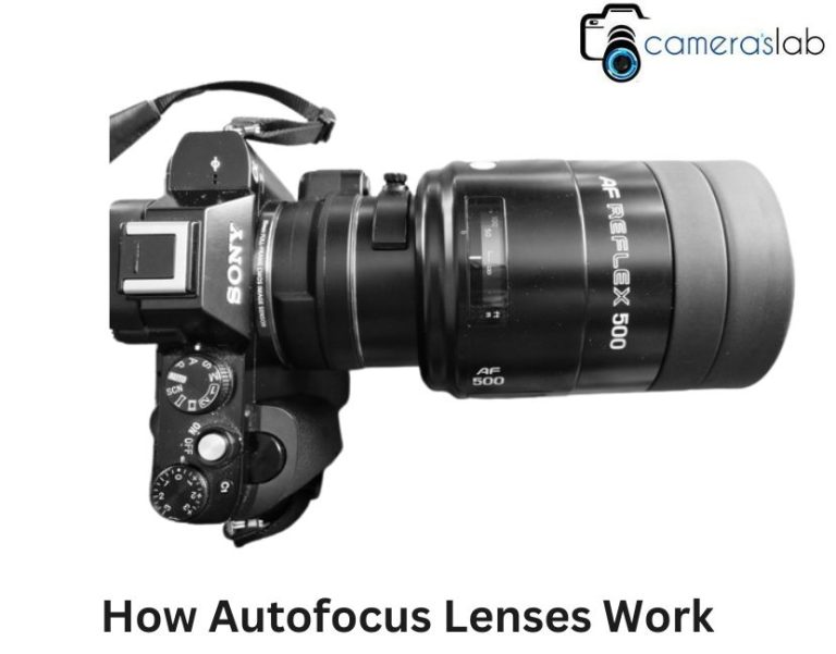 How Autofocus Lenses Work